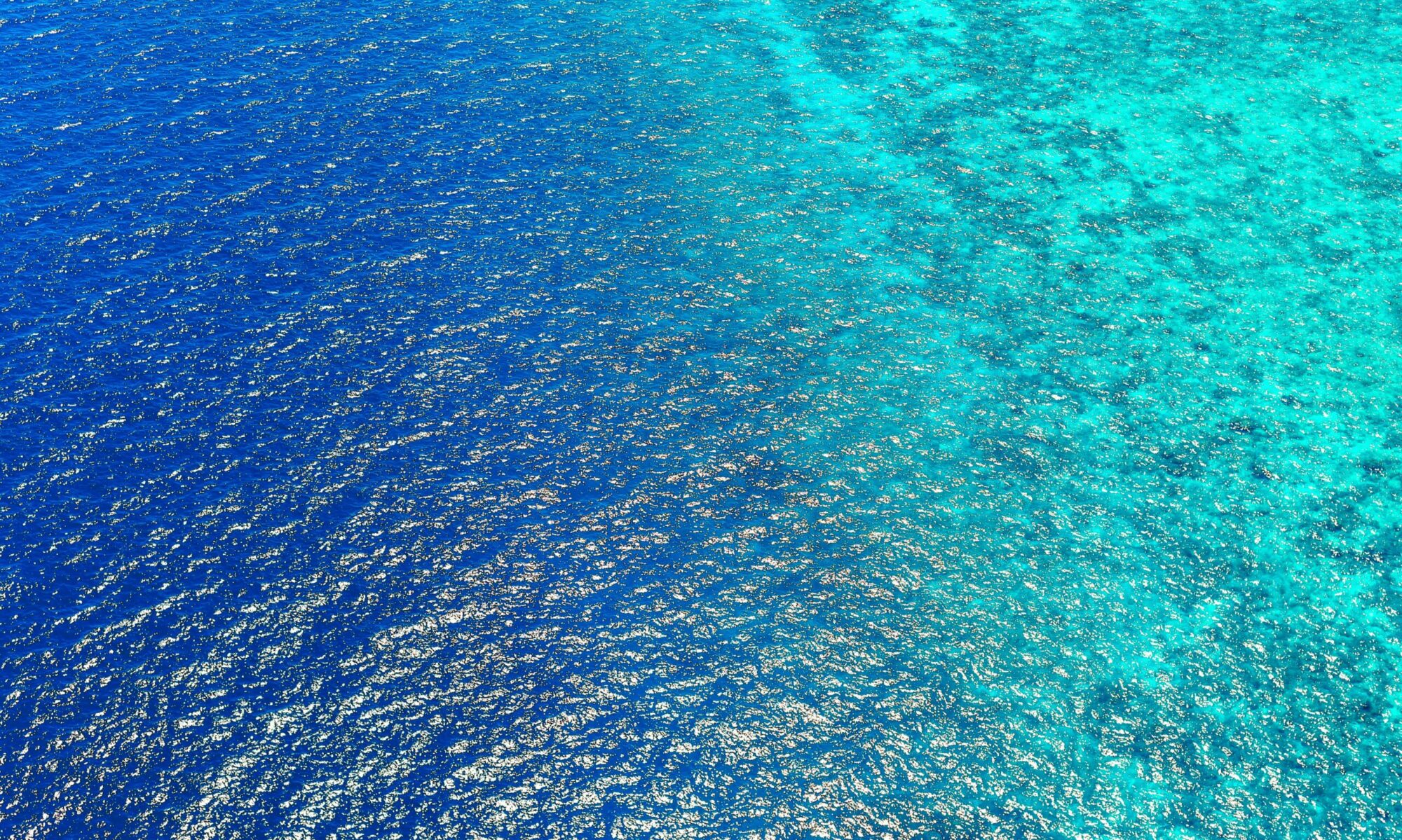 pexels photo 1456291 1456291